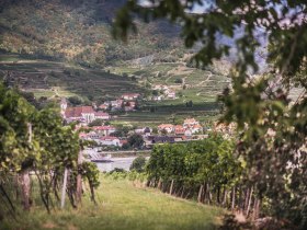 Ausblick von Rossatz an das andere Donauufer, &copy; Donau N&Ouml; Tourismus/Daniela Matejschek