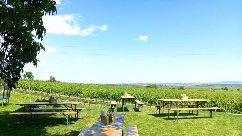 Blick von einer Terrasse auf Weinberge mit Holztischen und B&auml;nken im Vordergrund.