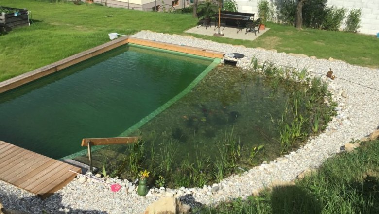 Schwimmteich mit Liegewiese, &copy; Karin Ruthner