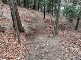 Elsbeere Singletrail, &copy; MTB-Initiative St.P&ouml;lten