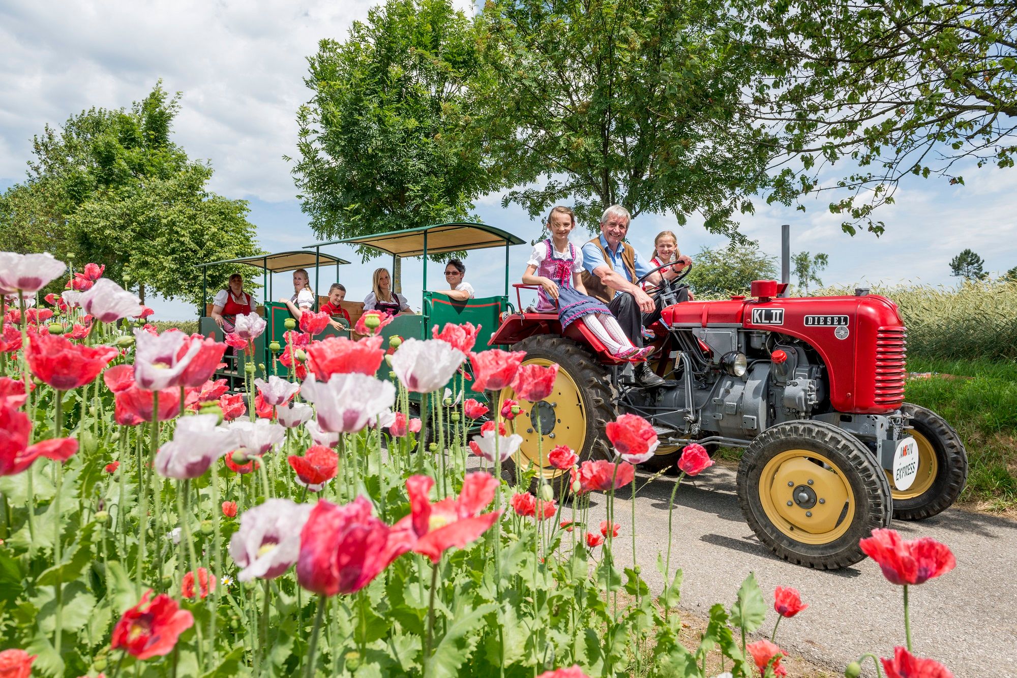 Ein roter Traktor zieht einen Anhänger mit Menschen durch ein Mohnfeld im Mohndorf Armschlag.
