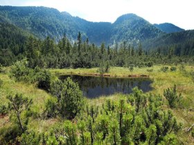 Hochmoor Leckermoos, © weinfranz.at