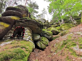 Sidestep Arbesberg, &copy; &copy; waldsoft