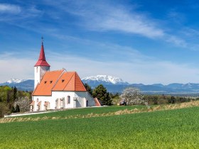 Wei&szlig;e Pfarrkirche Ofenbach mit rotem Dach und Kirchturm vor einer Bergkulisse mit gr&uuml;nem Feld im Vordergrund.