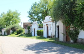 Reihe von traditionellen, wei&szlig; get&uuml;nchten Weinkellern mit begr&uuml;nten D&auml;chern und B&auml;umen im Hintergrund.