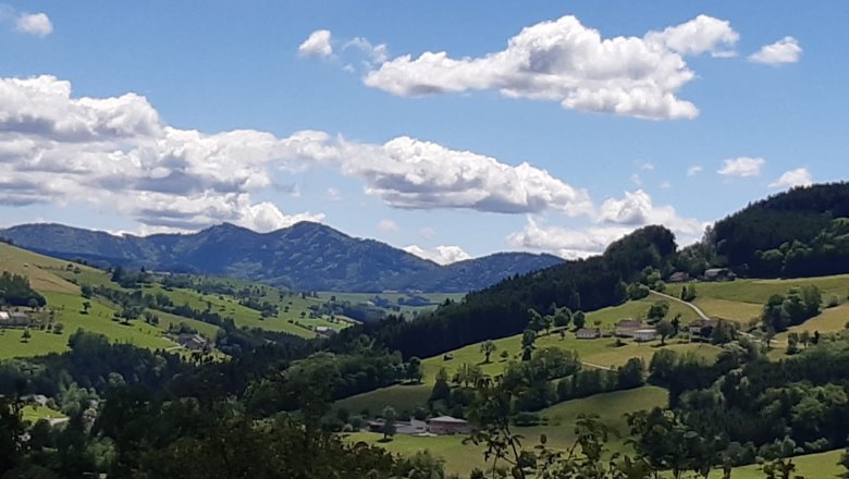 Urlaub am Nussbaumerhof, © Streißlberger Josef und Monika