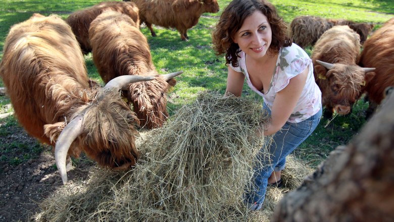 Dorferhof, &copy; weinfranz.at