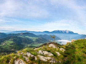 Blick vom Gel&auml;nde auf den Schneeberg