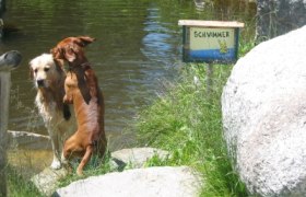 Hunde-Moorbad, &copy; Gasthof Lichtenwallner