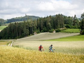 Granittrail, Ruine Arbesbach, &copy; Waldviertel Tourismus, Erwin Haiden