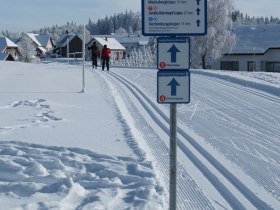 Langlaufen in B&auml;rnkopf, &copy; Waldviertel Tourismus