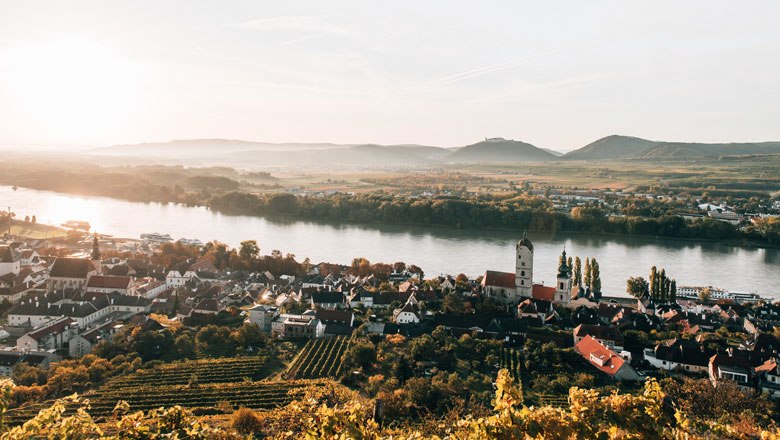 Kremstal: Urgestein im Weinbau, © Romeo Felsenreich