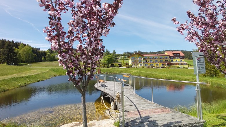 Badeteich1, &copy; Gasthof Nordwald