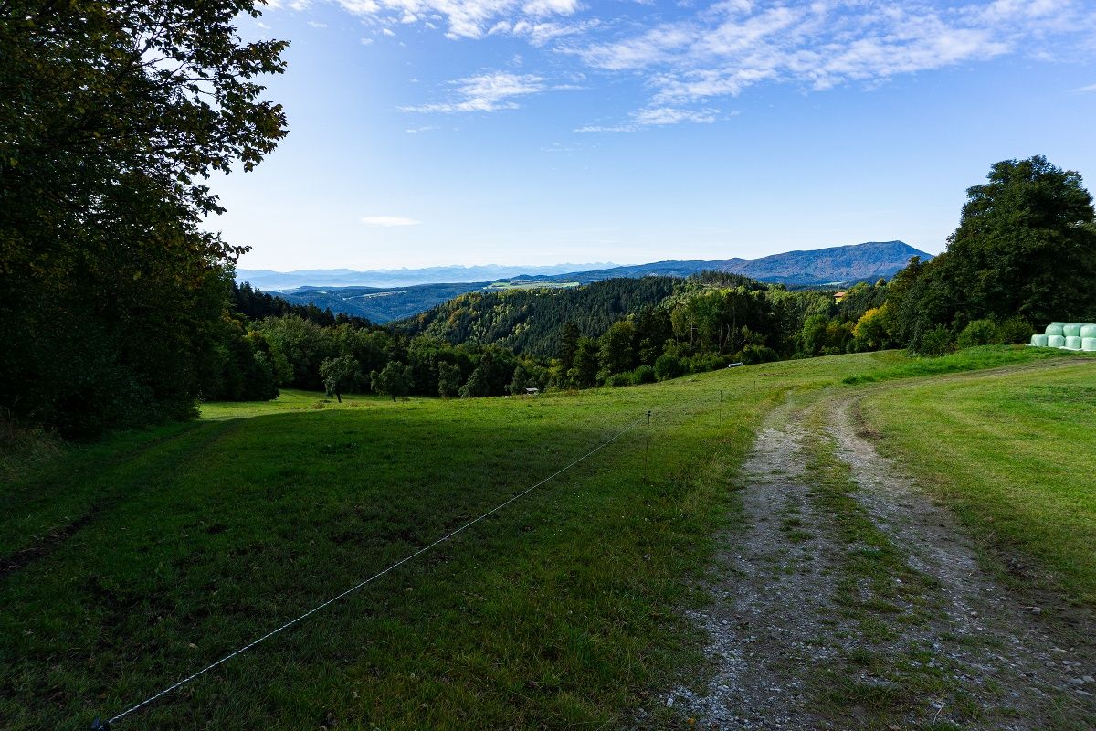 Blick zurück zum Ostrong