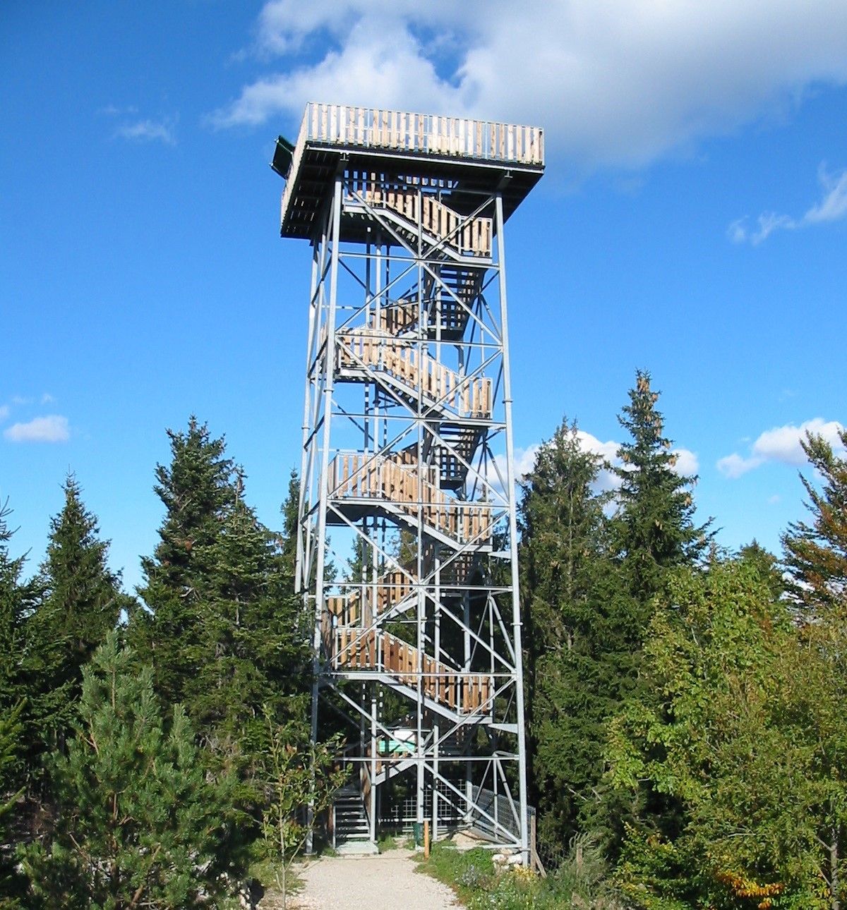Aussichtsturm im Wald mit blauem Himmel.