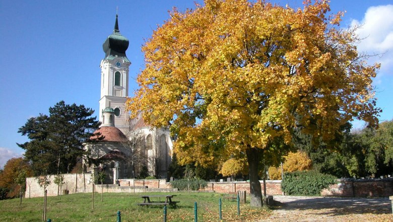 Kirche mit Turm und herbstlichem Baum im Vordergrund.