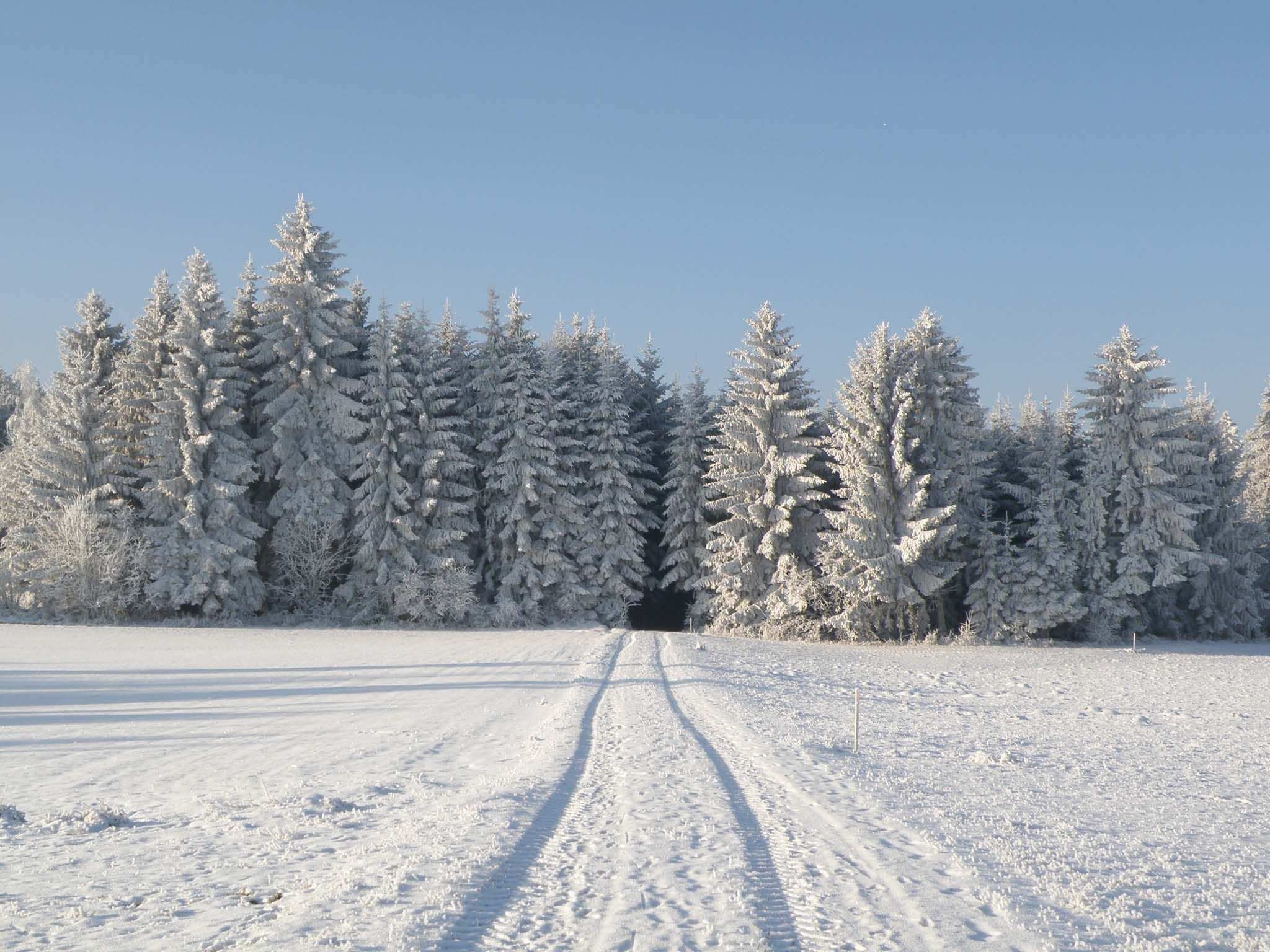 winter_maerchenwald