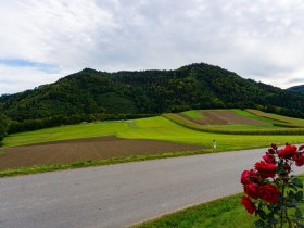 Ausblick von der Kapelle Gerersdorf, &copy; Gottfried Grossinger
