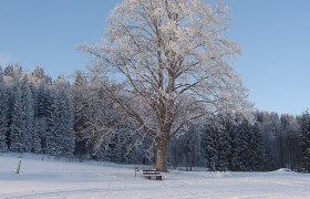 (c) Klaus Tannh&auml;user, &copy; (c) Klaus Tannh&auml;user