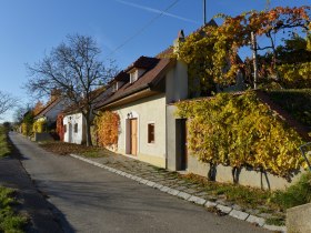 Traditionelle Keller am Wagram mit herbstlich gef&auml;rbtem Weinlaub an den W&auml;nden.