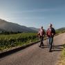 Ein älteres Paar wandert mit Stöcken auf einem Weg durch Weinberge, im Hintergrund Berge und blauer Himmel.