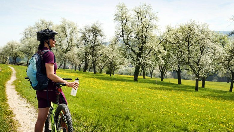 Radeln und genie&szlig;en entlang der Moststra&szlig;e, &copy; weinfranz.at