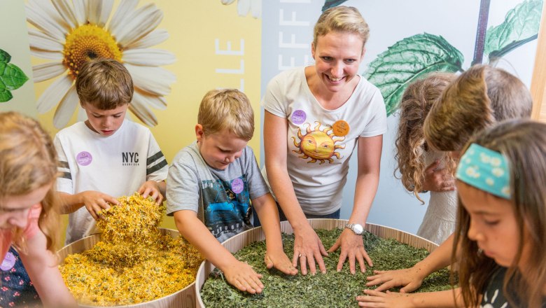 SONNENTOR, &copy; Waldviertel Tourismus, Studio Kerschbaum