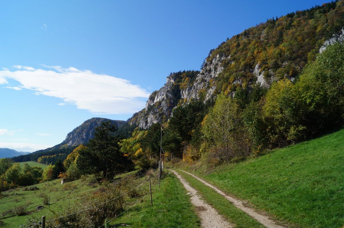 Ein Wanderweg führt entlang einer grünen Wiese am Fuß eines bewaldeten Berges unter blauem Himmel.