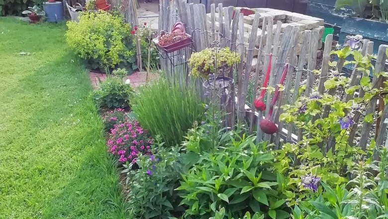 Ein gepflegter Gem&uuml;segarten mit Gew&auml;chshaus, Holzzaun und bl&uuml;henden Pflanzen.