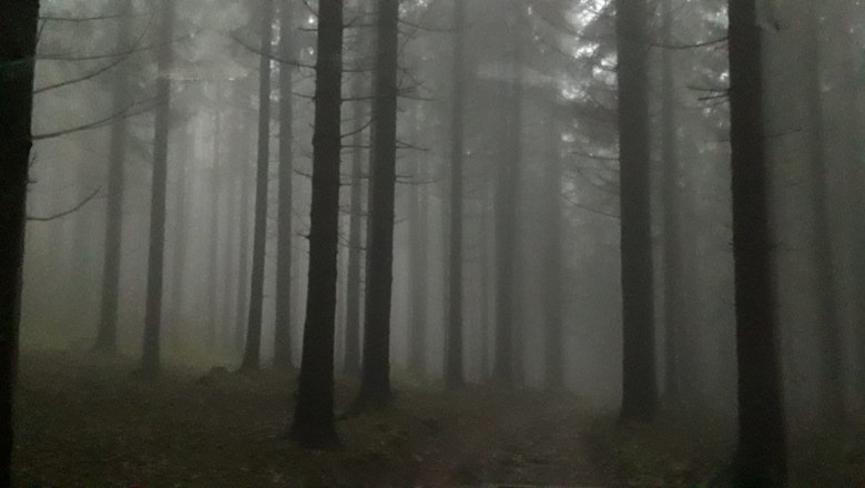 Mystische Wälder des Waldviertels, © U.E.