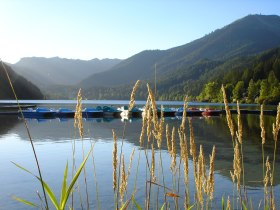 Erlaufsee, &copy; Mostviertel