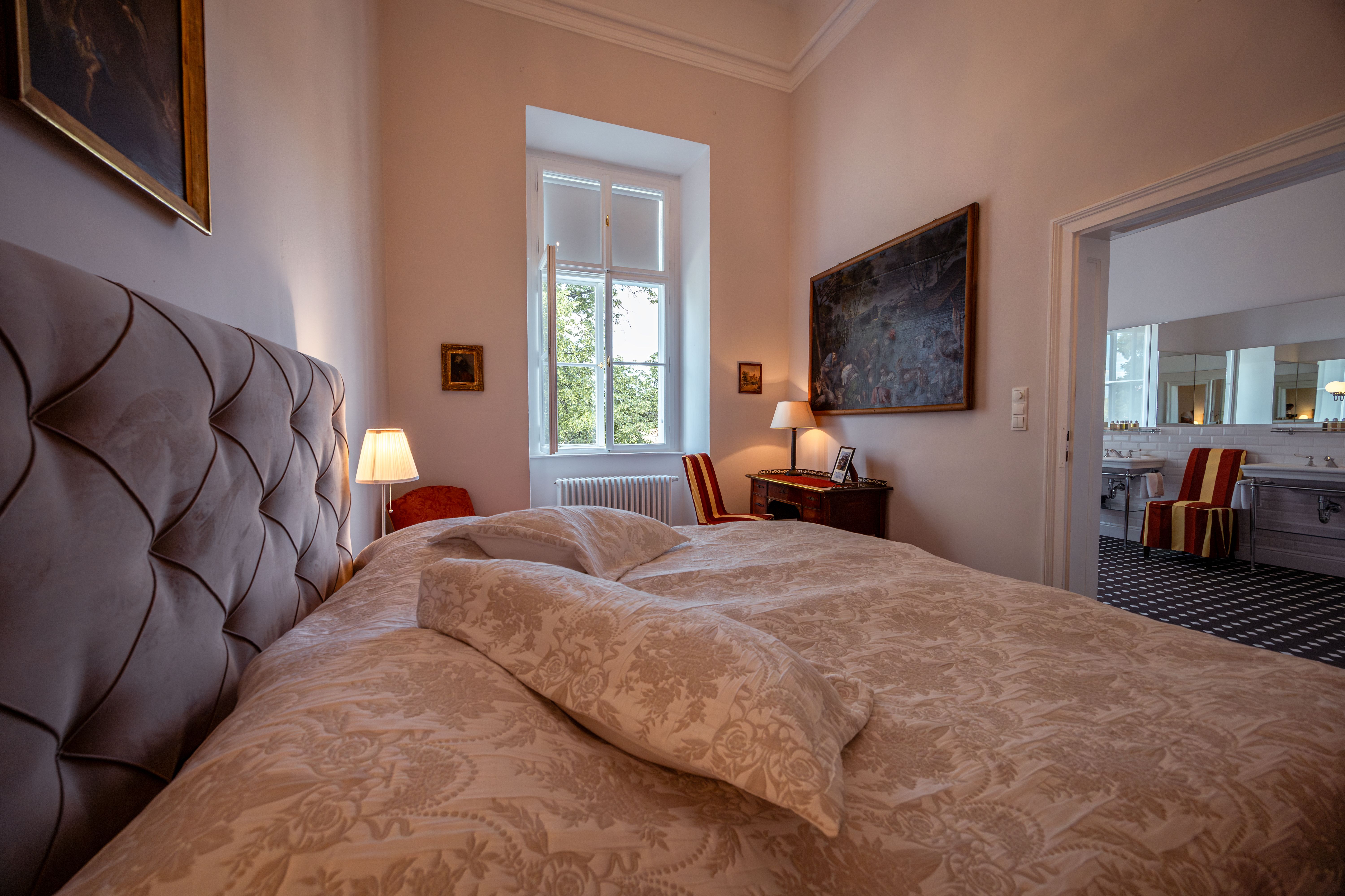 Luftaufnahme von Schloss Horn mit rotem Dach und Uhrturm, umgeben von Bäumen und einer Stadt im Hintergrund.