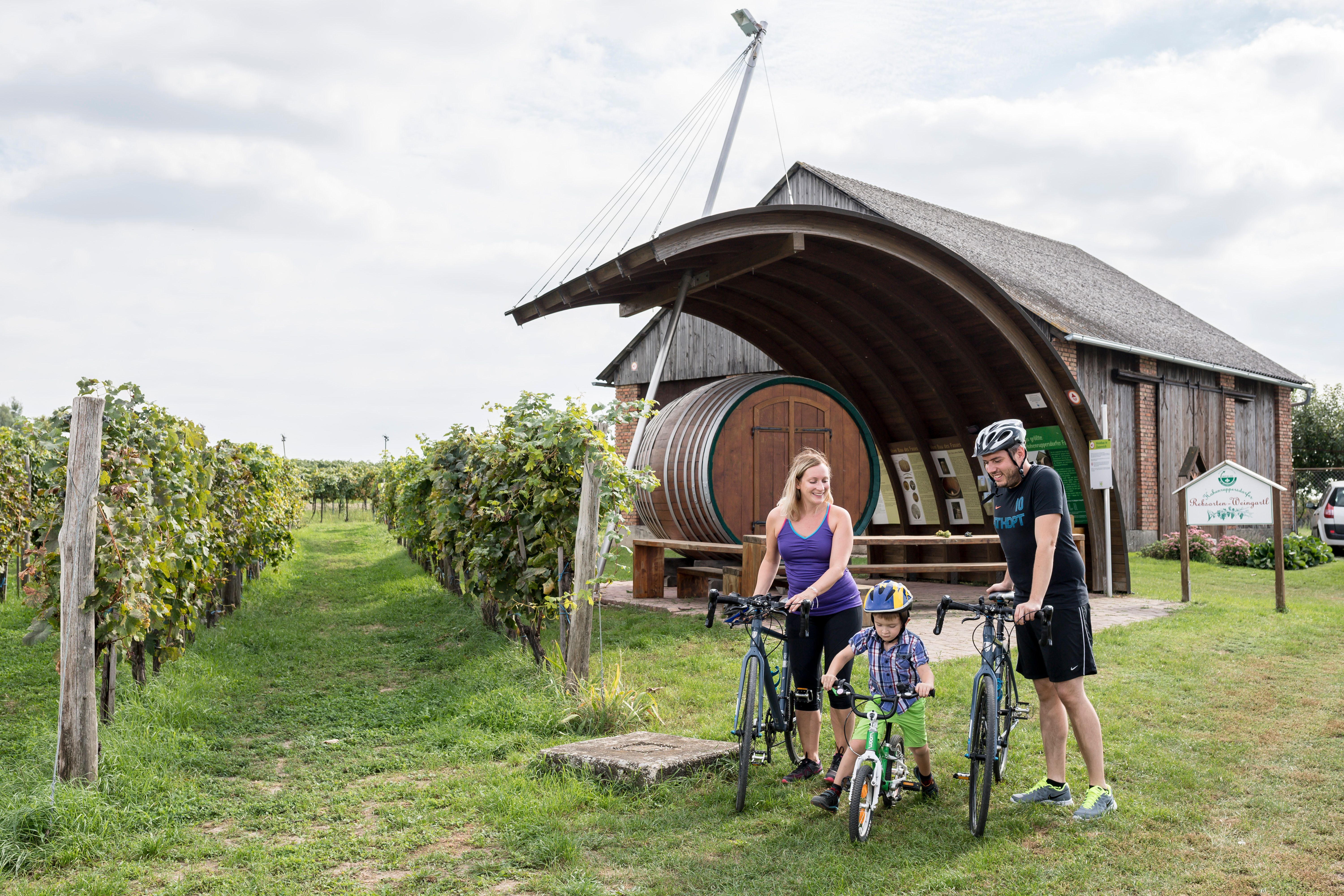 Eine Familie mit Fahrrädern vor einem Weingut mit großem Fass in Hohenruppersdorf.