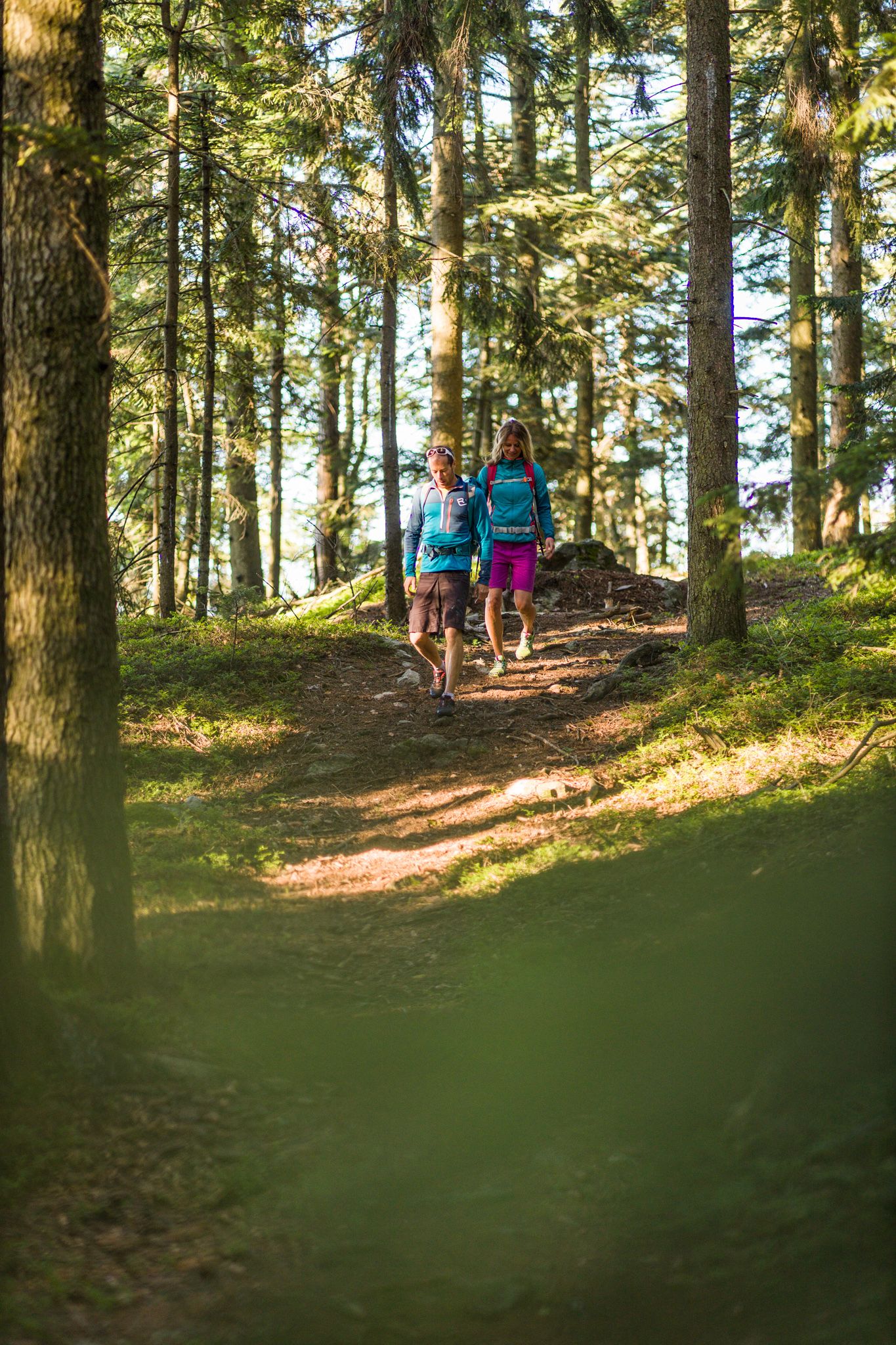 Zwei Personen wandern auf einem Waldweg, umgeben von hohen Bäumen.