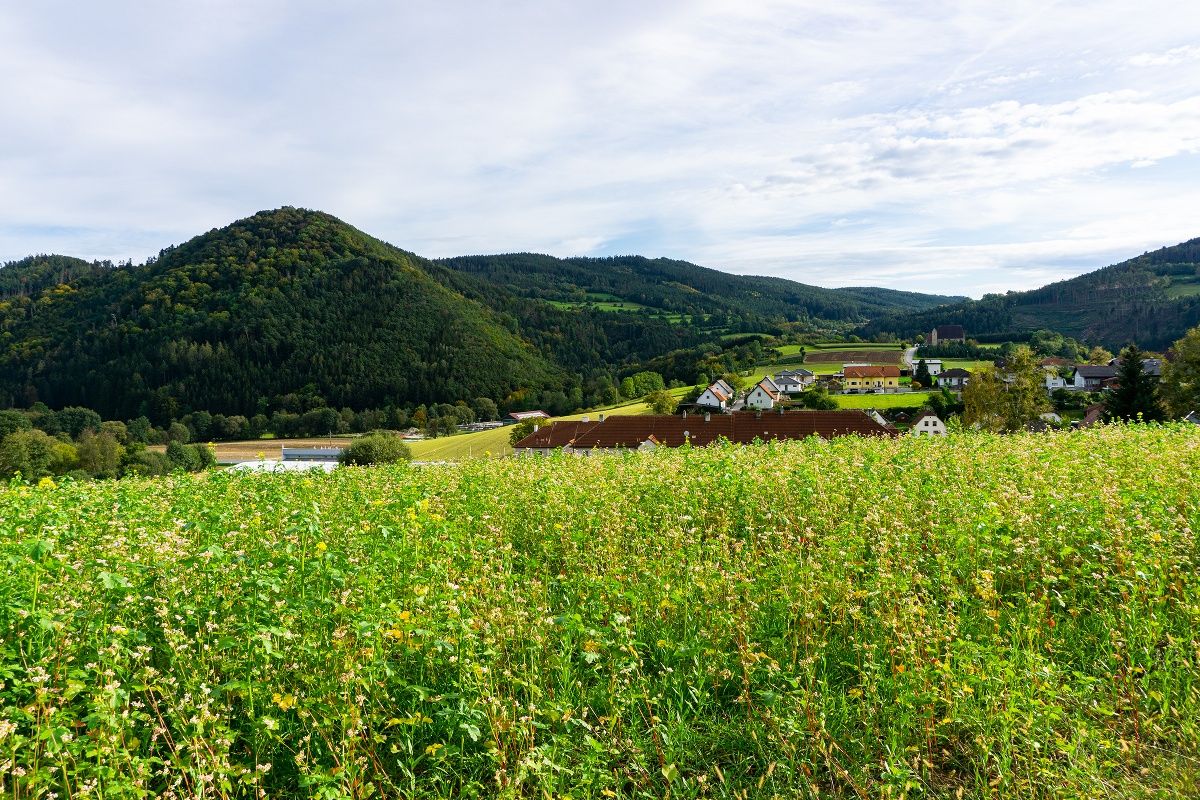Blick zu Mandlgupf, Hinterberg und St. Anna Kirche