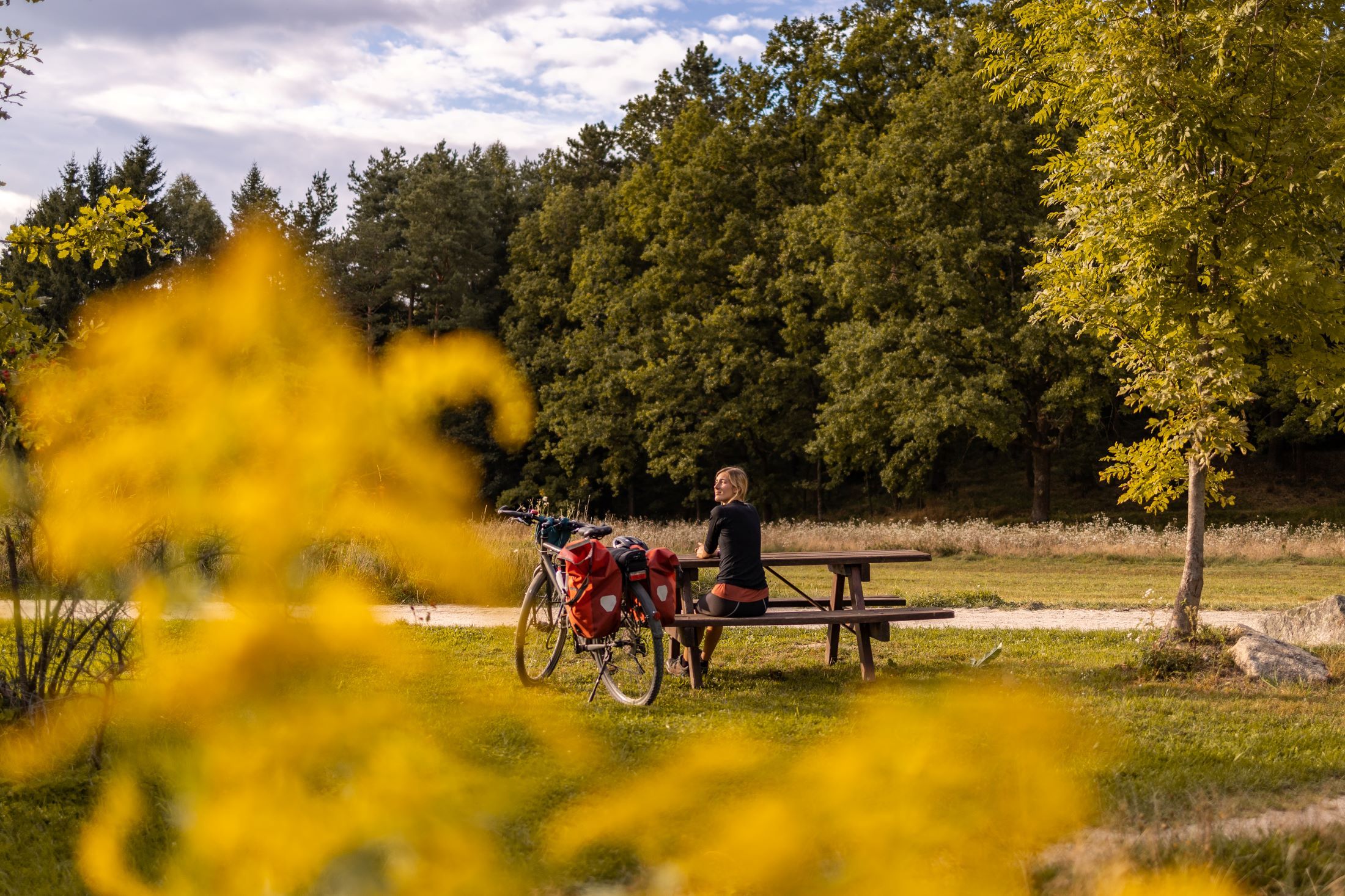 Eine Person sitzt an einem Picknicktisch neben einem Fahrrad in einer grünen Landschaft mit Bäumen im Hintergrund.