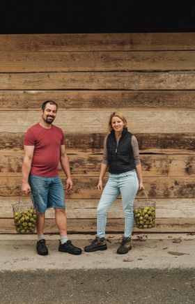 Inmitten der idyllischen Landschaft des Mostviertels ernten zwei fröhliche Menschen frische Äpfel, die bald zu köstlichem Most verarbeitet werden. Die warmen Sonnenstrahlen und die sanfte Brise verleihen der Szene eine einladende Atmosphäre, die die Freude an der Natur und der regionalen Kulinarik widerspiegelt.