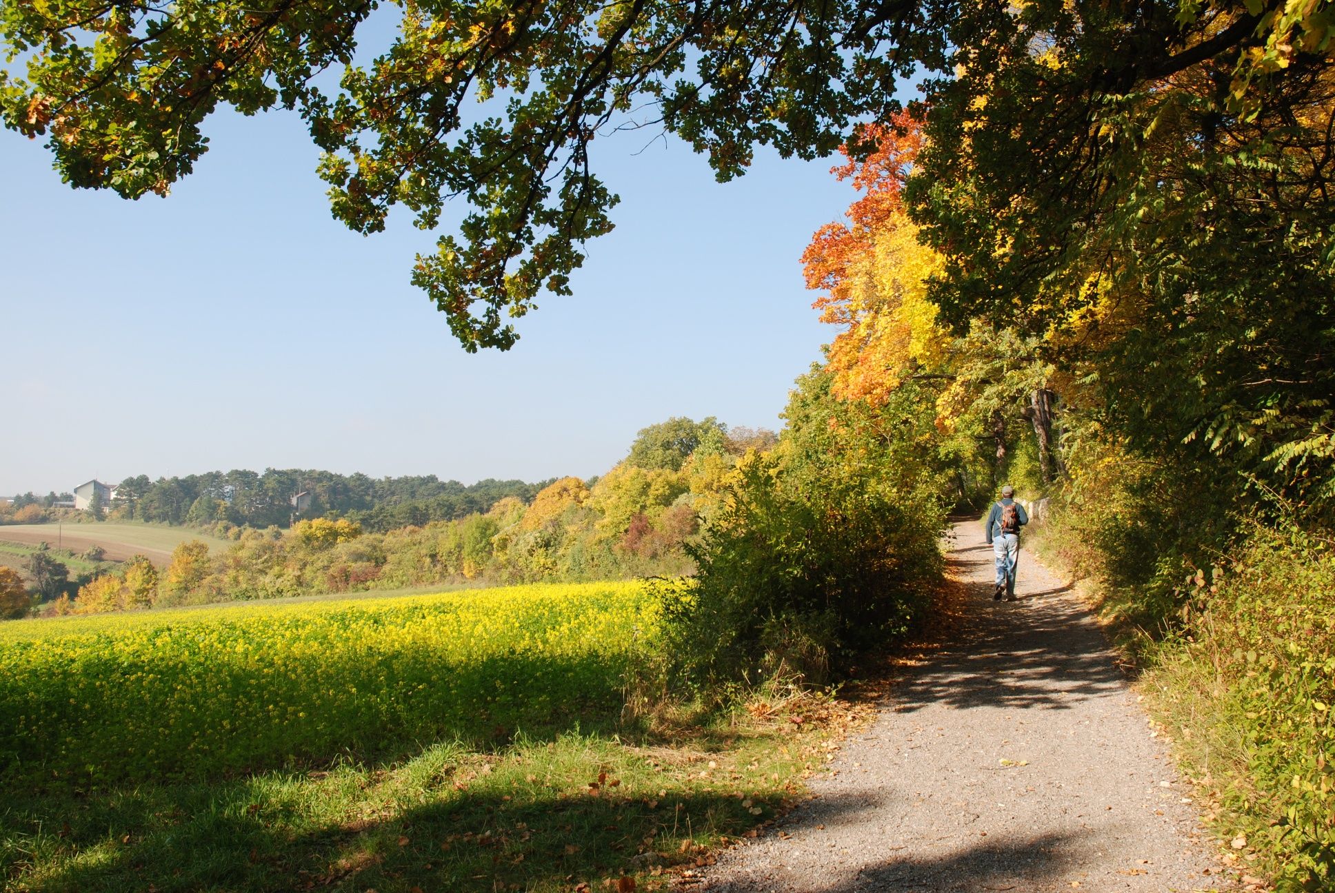 Am Waldrandweg
