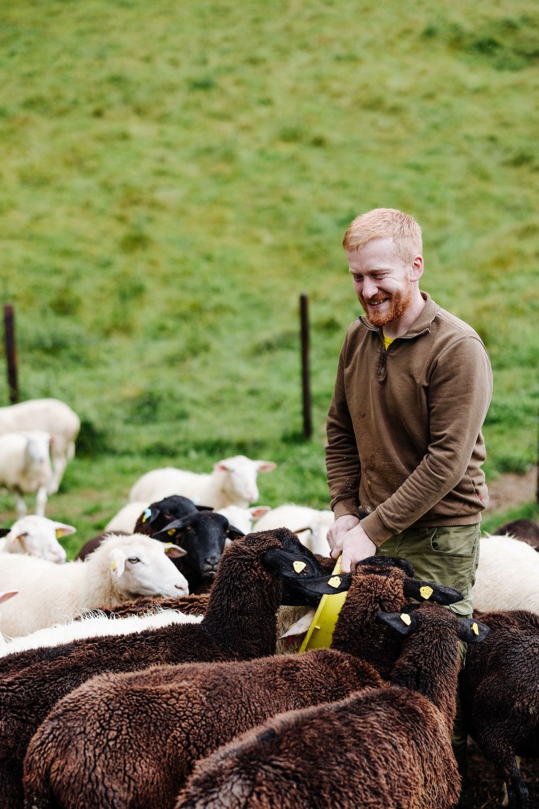 Porträtfoto Gerald Schenner beim Füttern der Schafe