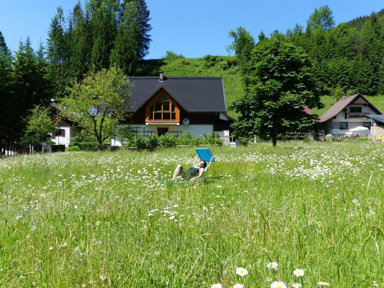 Ferienwohnung Göstling im Sommer
