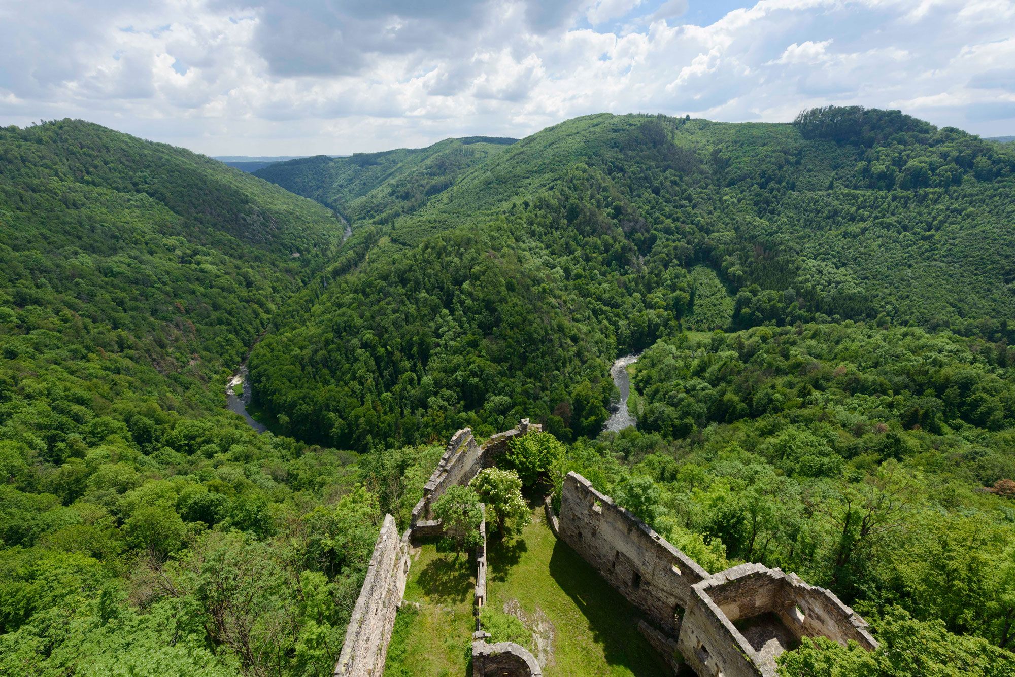 Blick auf eine grüne, bewaldete Landschaft mit Fluss und Burgruine im Vordergrund.