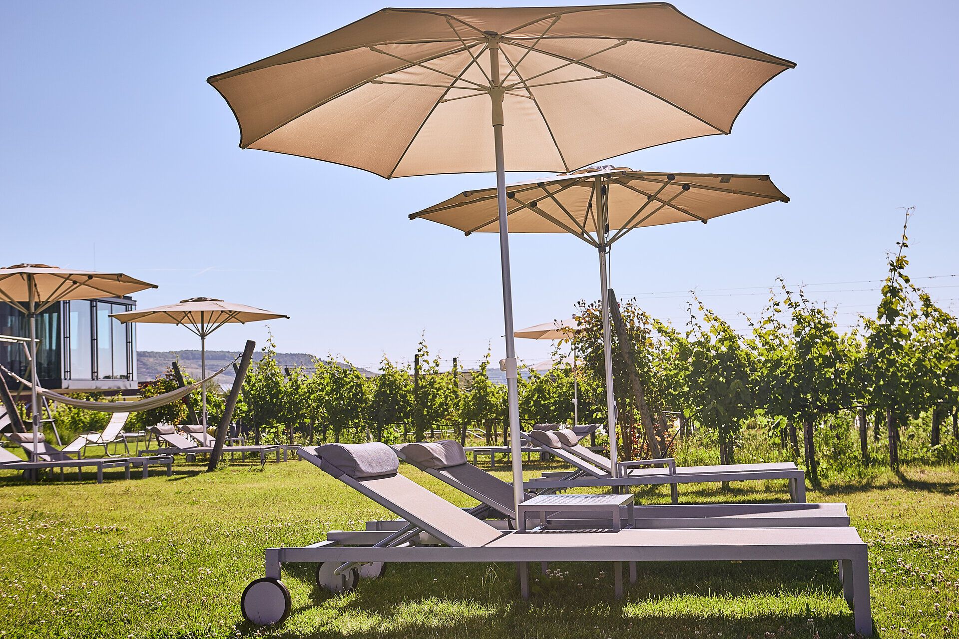 Die sanften Hügel der Weinregion laden zum Entspannen ein, während die Sonnenschirme Schatten spenden und die Liegen zum Verweilen einladen. Umgeben von üppigen Weinreben bietet dieser Ort eine perfekte Kulisse für einen unvergesslichen Sommertag.