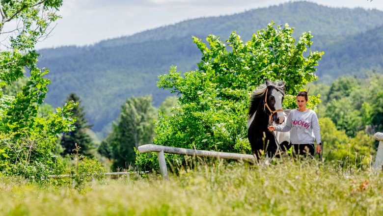 Eine Frau führt ein schwarz-weißes Pferd auf einer Wiese vor einer bewaldeten Berglandschaft.