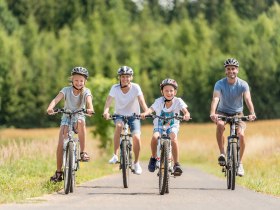 Eine fr&ouml;hliche Familie radelt gemeinsam auf einem malerischen Weg, umgeben von &uuml;ppigem Gr&uuml;n und sanften H&uuml;geln. Die Sonne strahlt am blauen Himmel und schafft eine einladende Atmosph&auml;re f&uuml;r unvergessliche Erlebnisse in der Natur.