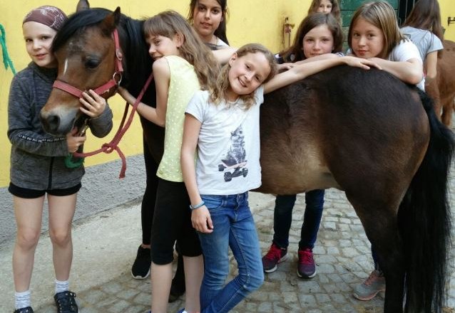 Das Pony Striegeln ist für unsere kleinen Urlaubsgäste eine beliebte Abwechslung., © Franz Inghofer