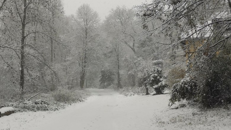 Verschneiter Waldweg mit Fußspuren im Schnee, umgeben von schneebedeckten Bäumen.