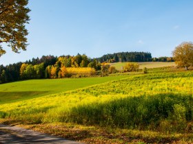Blick nach Nordwesten - Am Weg nach Sading, &copy; Gottfried Grossinger