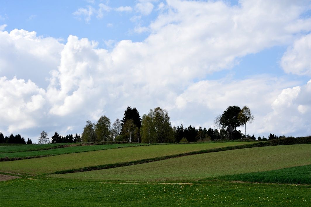 Friesenhof-Wanderweg