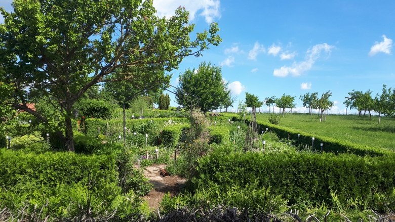 Ein gepflegter Kr&auml;utergarten mit gr&uuml;nen Hecken und B&auml;umen unter blauem Himmel.