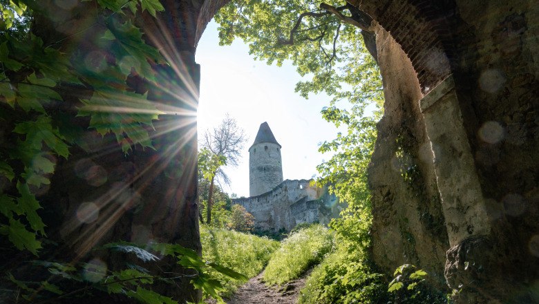 Blick durch ein Burgtor auf eine Burg mit Turm, umgeben von B&auml;umen und Sonnenstrahlen.